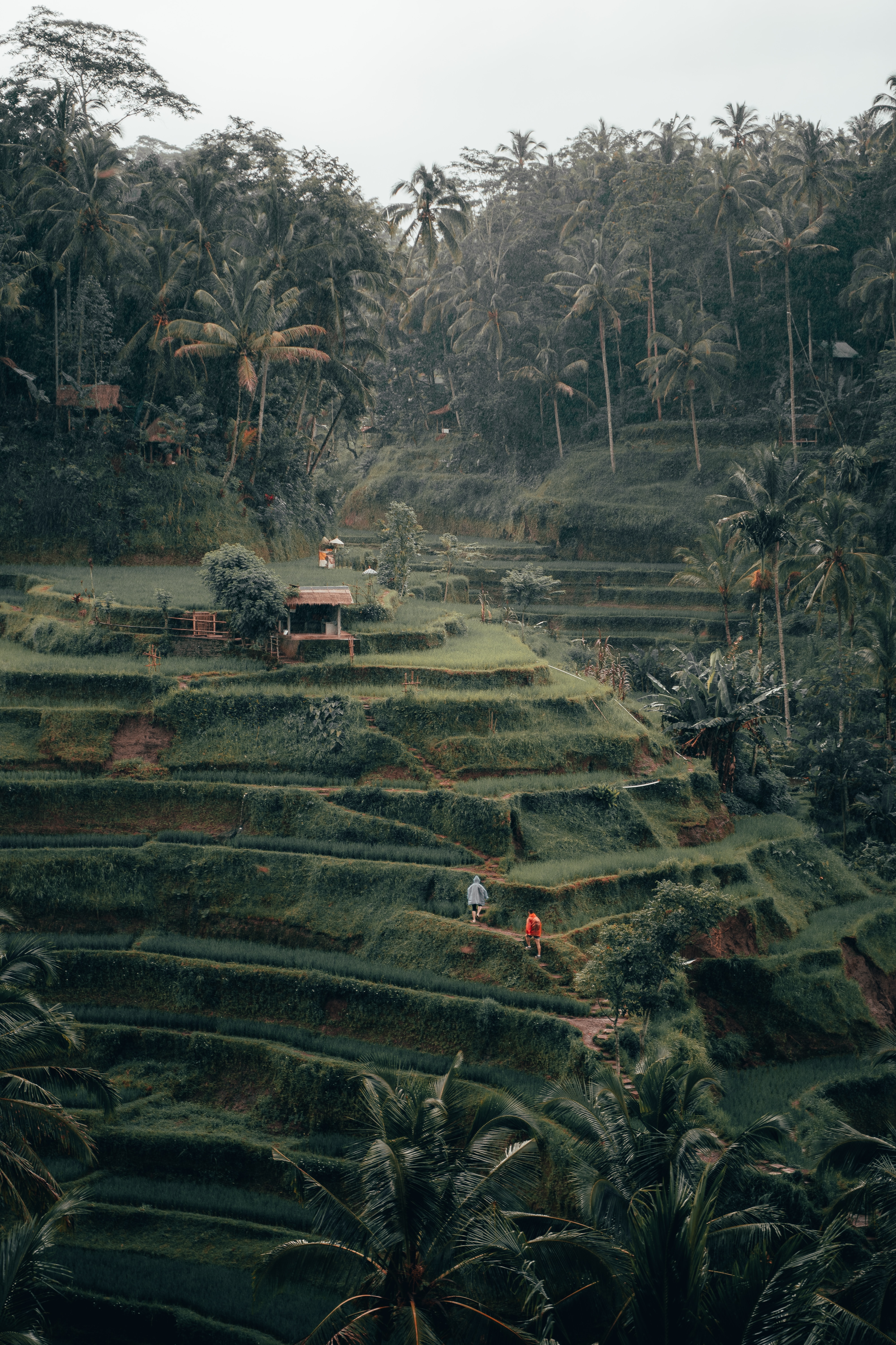 radoslav-bali-jN9JnZ-SyVc-unsplash